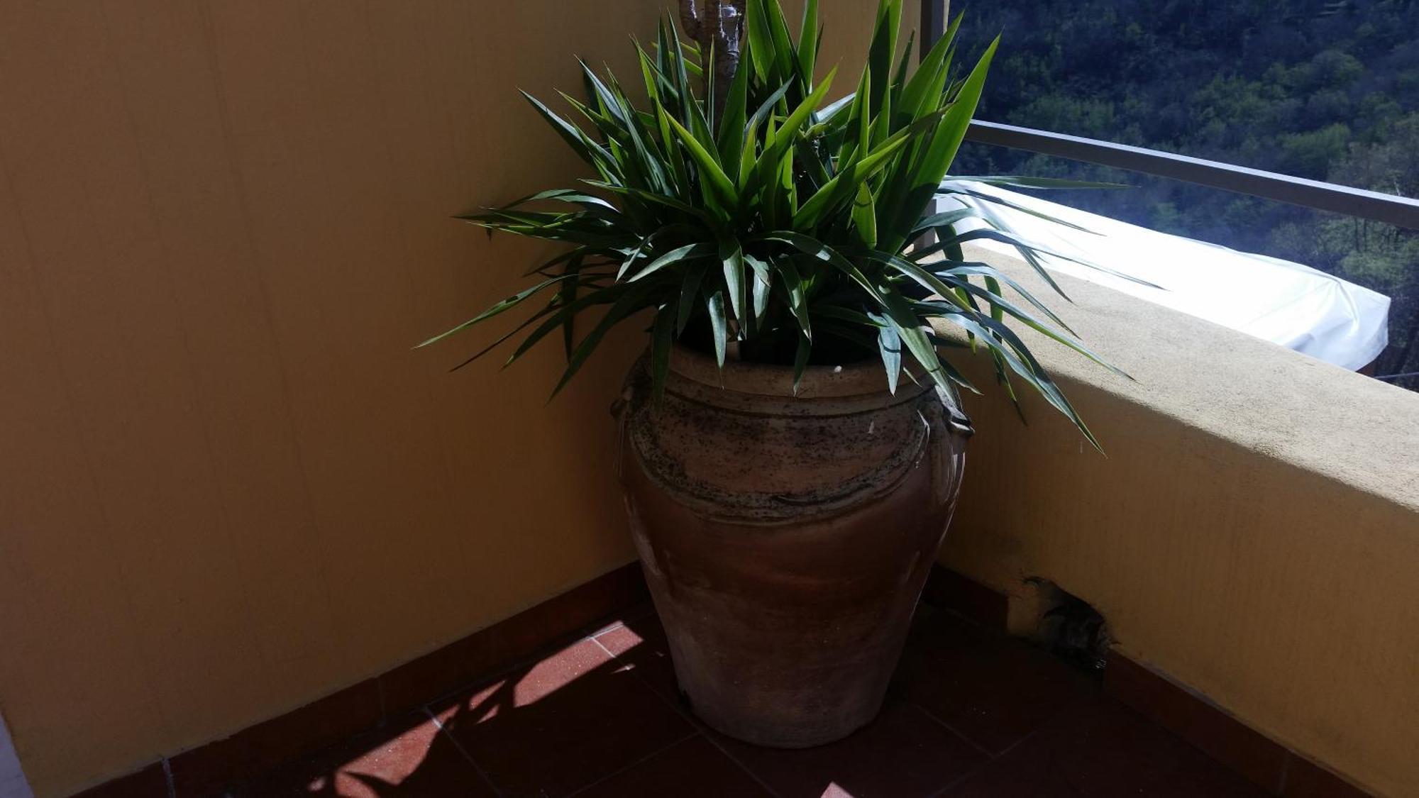 Sol Y Ombra Villa Voze ภายนอก รูปภาพ